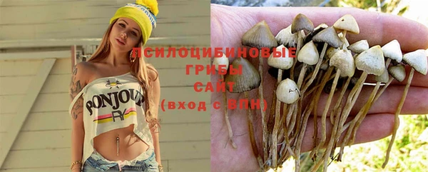 спиды Алзамай